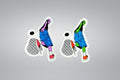 Colored Aliens - Pak of 2 Vinyl Diecut Stickers