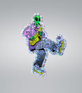 Hacky Sax - Pak of 2 Diecut Vinyl Stickers